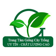 Trung Tâm Giống cây trồng
